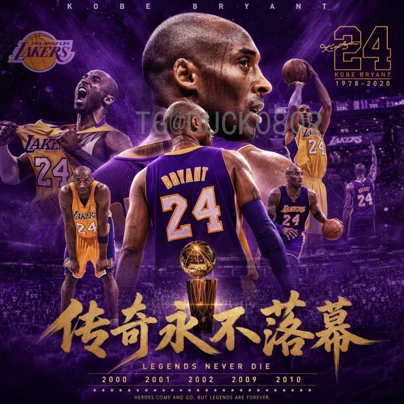 实时2026美加墨世界杯非洲区名额解读：扩军带来机遇与挑战